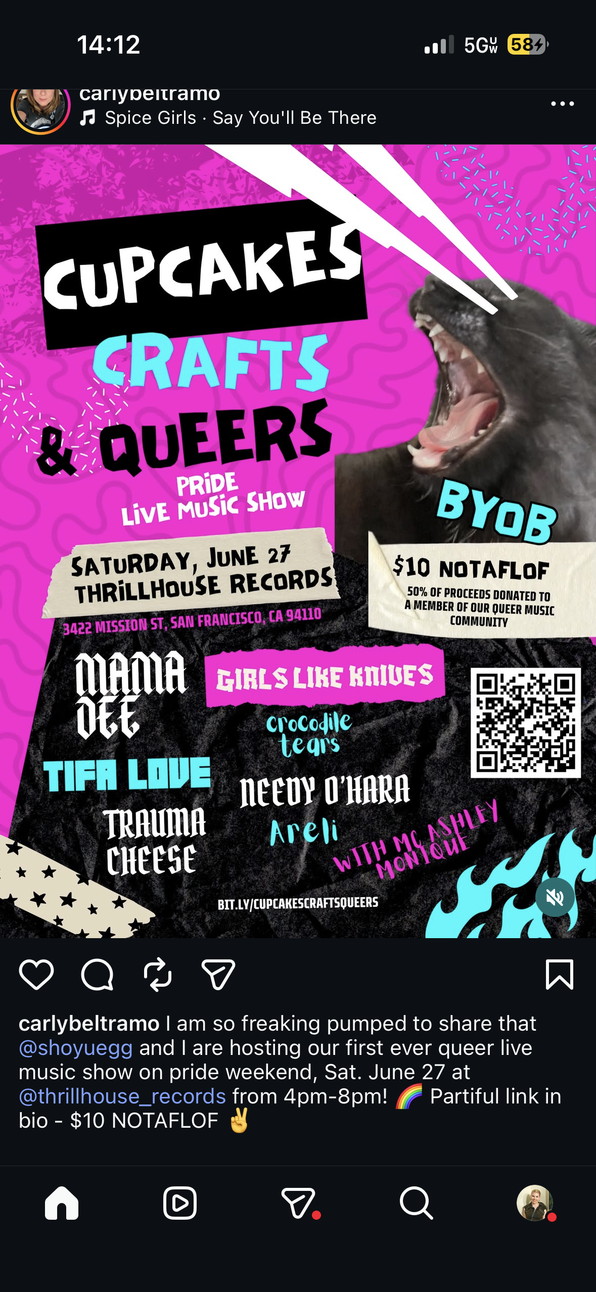 Cupcakes Crafts & Queers